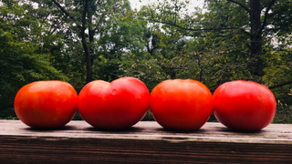 Behold, Tomato Time Is Suddenly Upon You